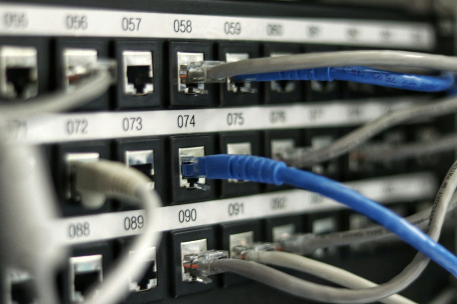 Ethernet cables connected to a network patch panel